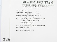 登錄號:F0002664藏品圖，第2張