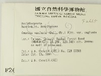 登錄號:F0002665藏品圖，第2張