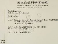 登錄號:F0002666藏品圖，第2張