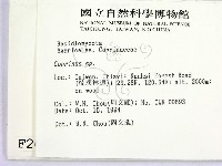 鬼傘屬藏品圖，第2張