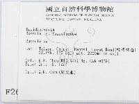 紅菇屬藏品圖，第2張