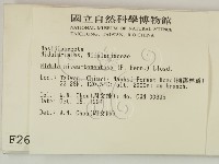 登錄號:F0002669藏品圖，第2張