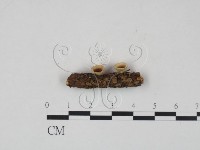 登錄號:F0002669藏品圖，第3張