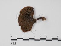 登錄號:F0002671藏品圖，第3張