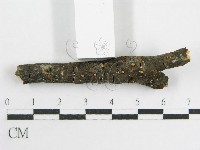 登錄號:F0002672藏品圖，第3張