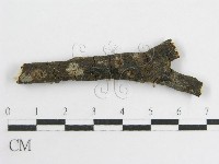 登錄號:F0002672藏品圖，第4張