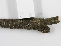 登錄號:F0002672藏品圖，第5張