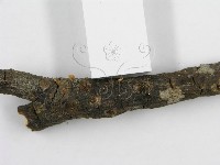 登錄號:F0002672藏品圖，第6張