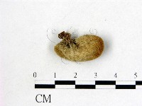 登錄號:F0002673藏品圖，第3張