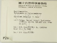 登錄號:F0002674藏品圖，第2張