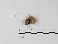 登錄號:F0002674藏品圖，第1張