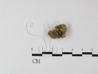 登錄號:F0002674藏品圖，第3張