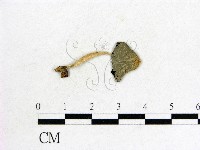 登錄號:F0002676藏品圖，第3張