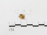 登錄號:F0002677藏品圖，第3張