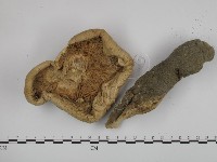 登錄號:F0002679藏品圖，第3張