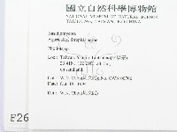 登錄號:F0002680藏品圖，第2張