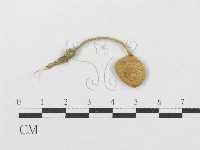 登錄號:F0002680藏品圖，第1張