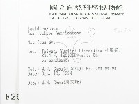 傘菌屬藏品圖，第2張