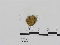 登錄號:F0002683藏品圖，第1張