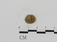 登錄號:F0002683藏品圖，第3張