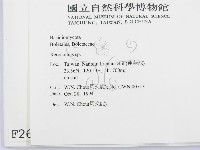 絨蓋牛肝菌屬藏品圖，第2張