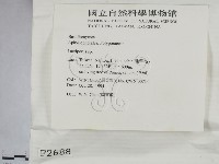 登錄號:F0002688藏品圖，第2張