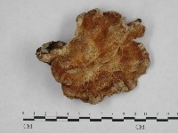 登錄號:F0002688藏品圖，第1張