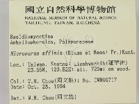 相鄰小孔菌藏品圖，第2張