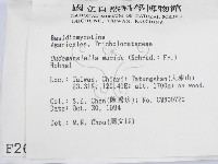 登錄號:F0002691藏品圖，第2張