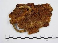 登錄號:F0002691藏品圖，第1張