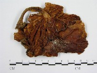 登錄號:F0002691藏品圖，第3張