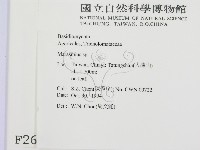 小皮傘屬藏品圖，第2張