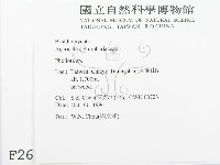 登錄號:F0002694藏品圖，第2張