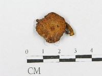 登錄號:F0002694藏品圖，第1張