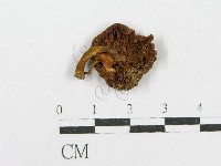 登錄號:F0002694藏品圖，第3張