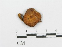 登錄號:F0002694藏品圖，第4張