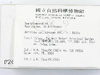 登錄號:F0002695藏品圖，第2張