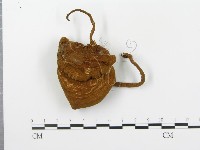 登錄號:F0002695藏品圖，第1張