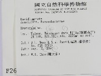 濕傘屬藏品圖，第2張