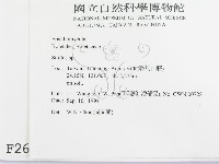 登錄號:F0002699藏品圖，第2張