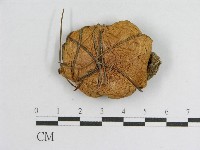 登錄號:F0002699藏品圖，第1張