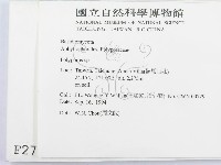 多孔菌屬藏品圖，第2張