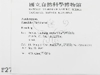 紅菇屬藏品圖，第2張