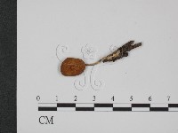 登錄號:F0002702藏品圖，第3張