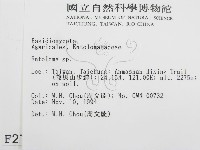 粉褶菌屬藏品圖，第2張