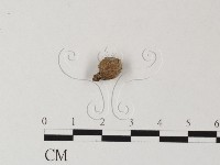 登錄號:F0002704藏品圖，第3張