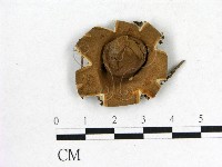 登錄號:F0002705藏品圖，第1張