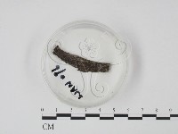 登錄號:F0002706藏品圖，第1張