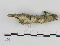 登錄號:F0002709藏品圖，第1張