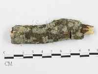 登錄號:F0002710藏品圖，第1張